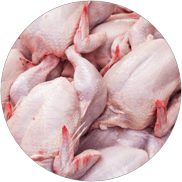 Viande de volaille