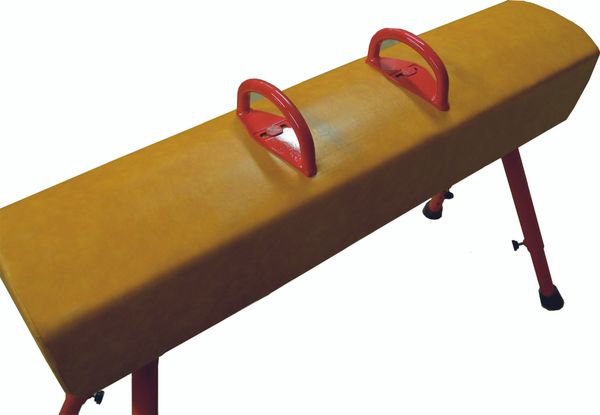 Turnpferd, echtes Leder