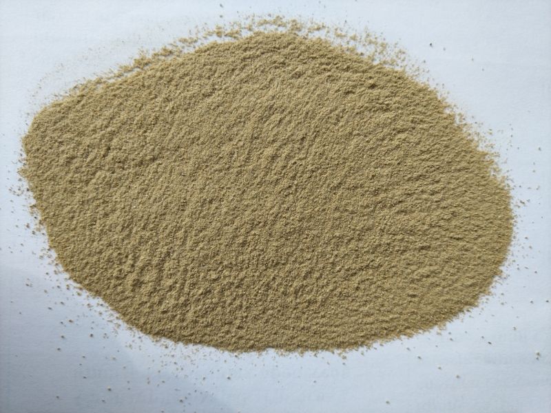 Recapharm / Kosmetischer Rohstoff Badyaga (Spongilla) Pulver 1 kg